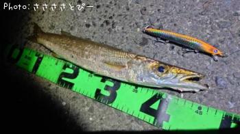 ���ޥ���