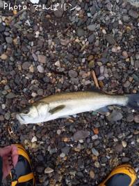 �����Х�