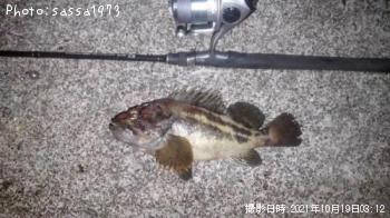 ���ޥ���