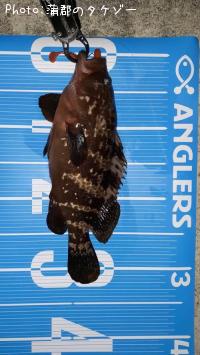 �����ϥ�