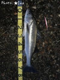 �����Х�