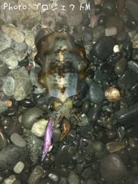 �����ꥤ��