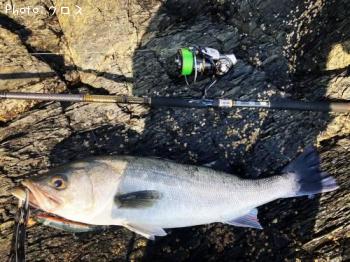 �����Х�