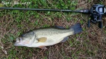 �֥�å��Х�