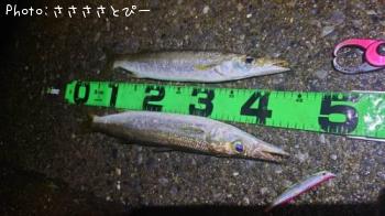 ���ޥ���