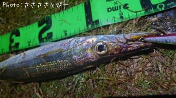 ���ޥ���