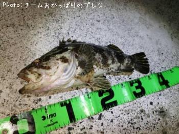 �����Υ���Х�