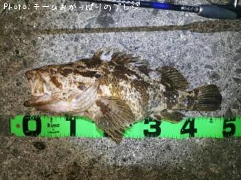 �����Υ���Х�