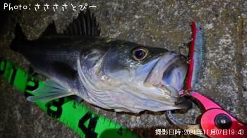 �����Х�