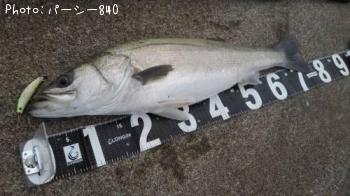 �����Х�