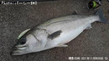 �����Х�