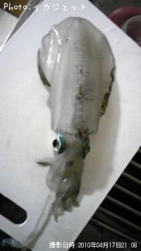 �����ꥤ��