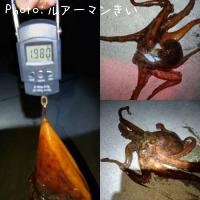 �ޥ���