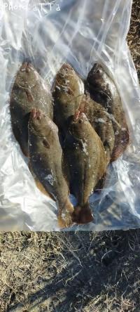 �������ҥ��