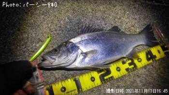 �ҥ饹����