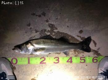 �����Х�