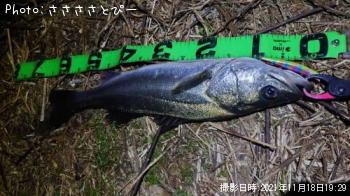 �����Х������Υ���