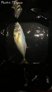 ����