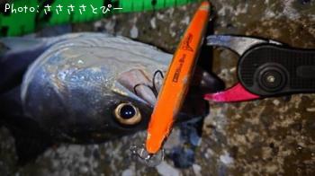 �����Х�������