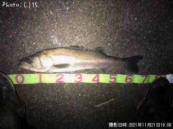 �����Х�