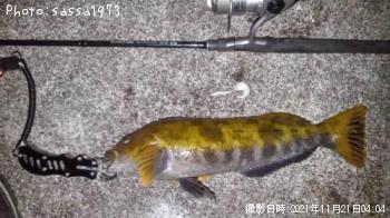 �����ʥ�