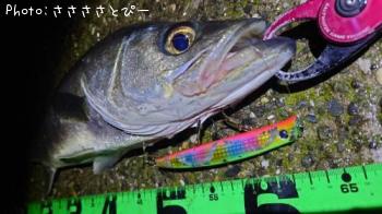 �����Х�