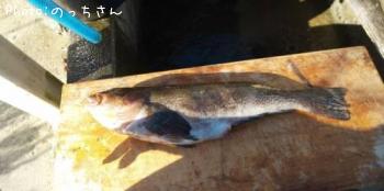 �����ʥ�