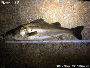 �����Х�