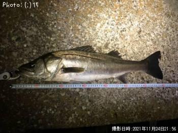 �����Х�