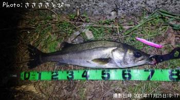 �����Х�