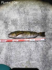 �����ʥ�