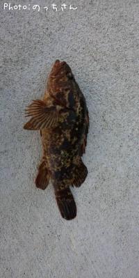 �٥å�������