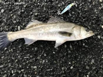 �����Х�