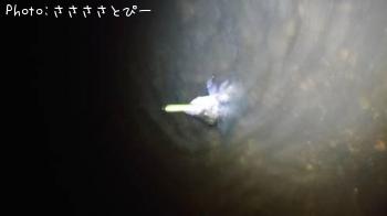 �����Х�