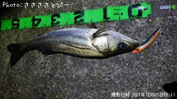 �����Х�