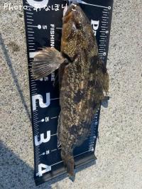 �����ʥ�