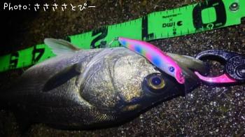 �����Х�