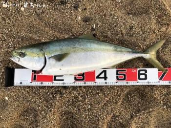 ¥Ï¥Þ¤Á¤ã¤ó¡ª