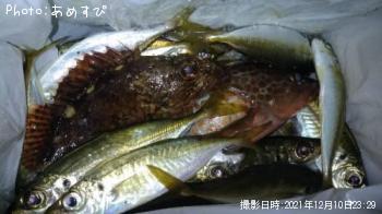 ���������С���������������