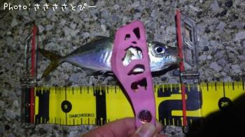 ��Х������