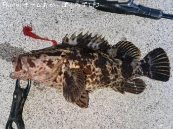 �����Υ���Х�