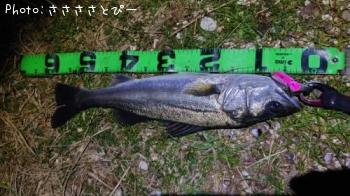 �����Х�