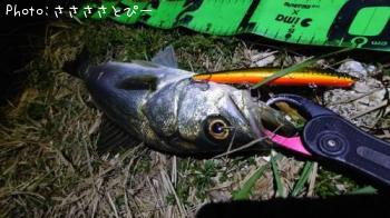 �����Х�