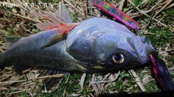 �����Х�