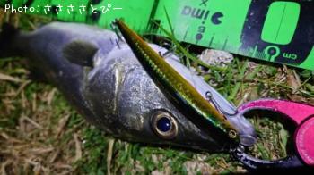 �����Х�