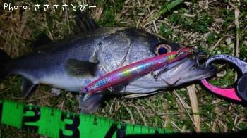 �����Х�