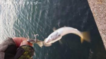 �����Х�������