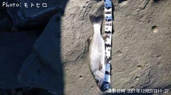 �ҥ饹����