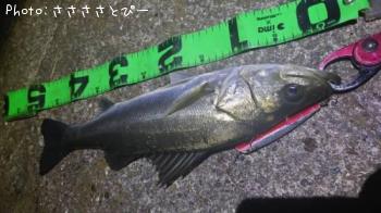 �����Х�