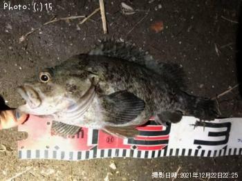 ��������Х롢�������